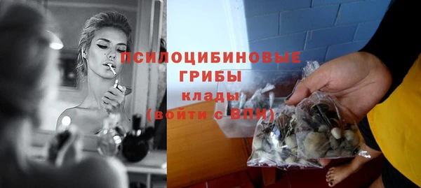 СК Балахна
